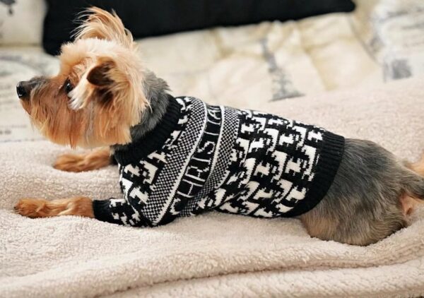 CHRISTIAN DOGIOR SWEATER