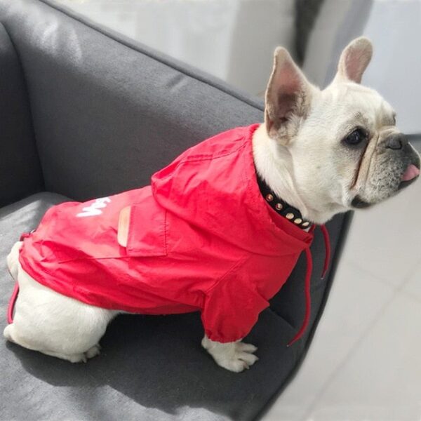 PAWSSY RED RAINCOAT